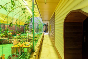 Oasis Guest House